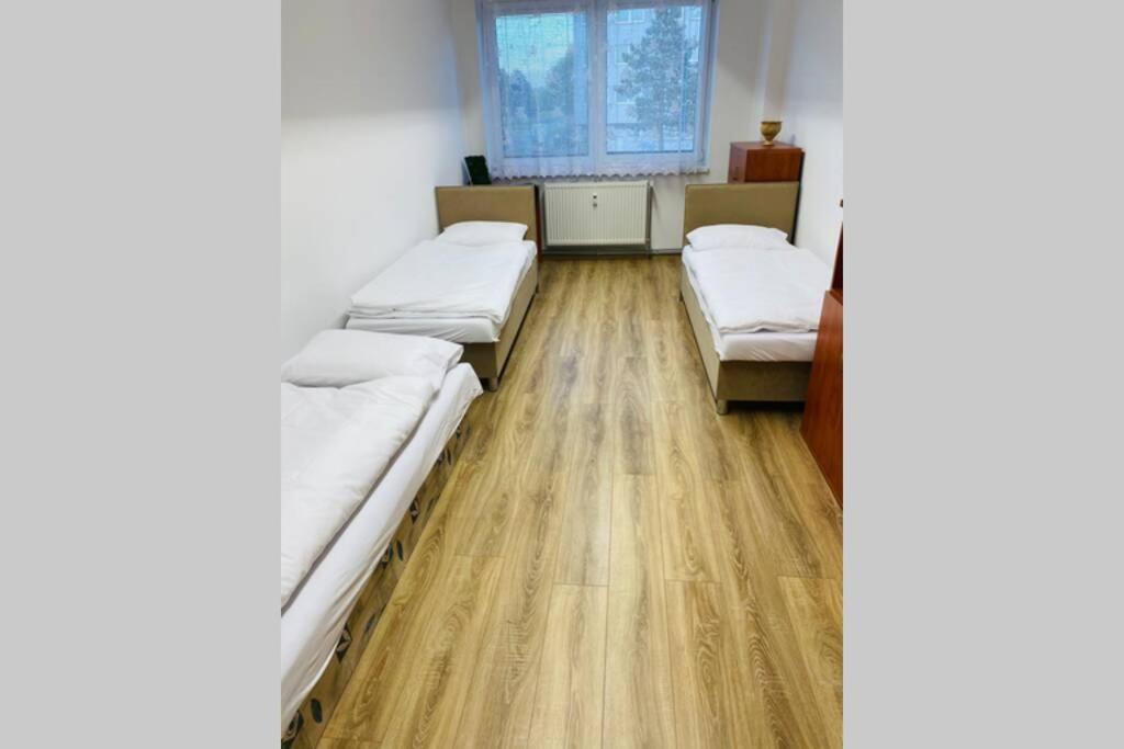 Apartman Solax, Ucnovska 8, Kosice Saca Zewnętrze zdjęcie